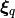 \bm{\xi}_q